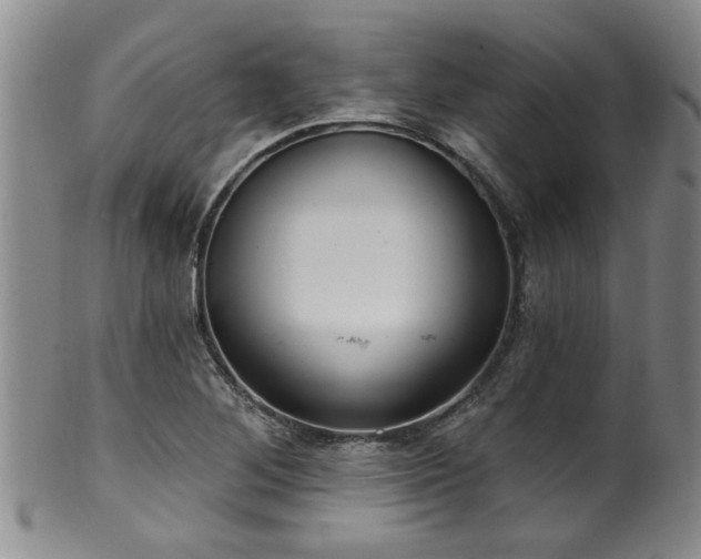X0000100361268200806061130