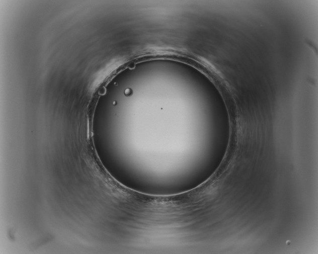X0000100361269200806061130