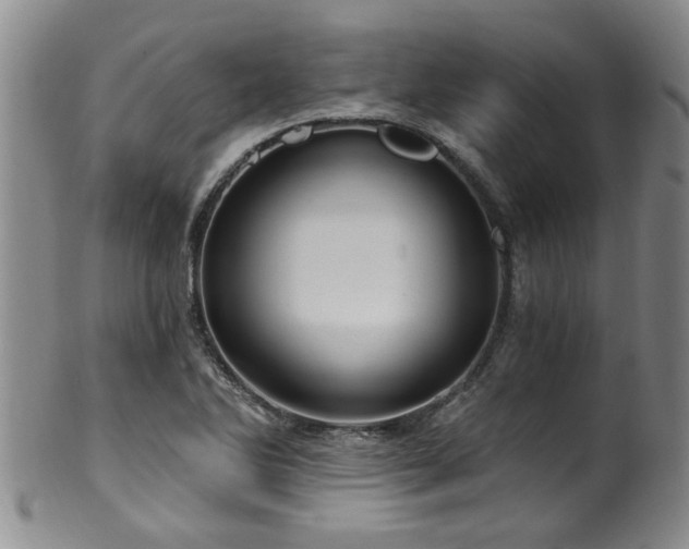X0000100361270200806061130