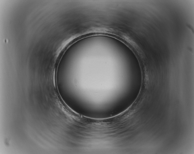 X0000100361272200806061130