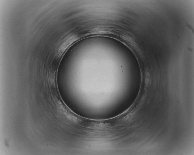 X0000100361273200806061130