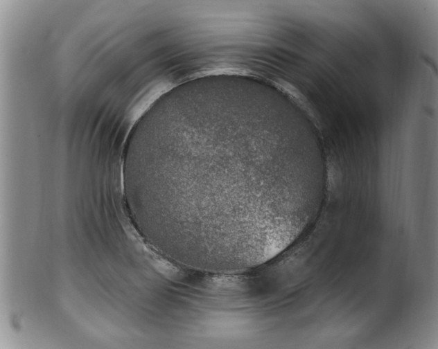 X0000100361274200806061129