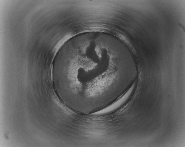 X0000100361275200806061129