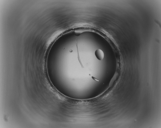 X0000100361277200806061129
