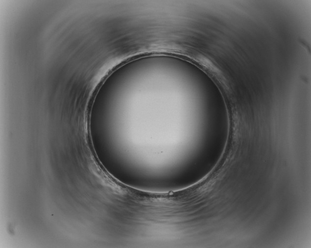 X0000100361280200806061129