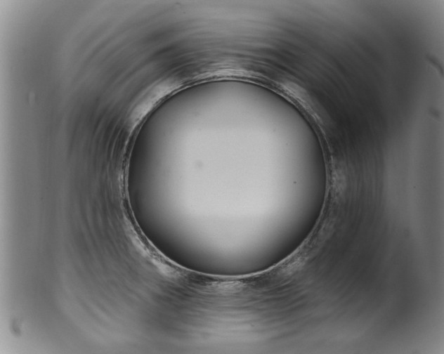 X0000100361282200806061129