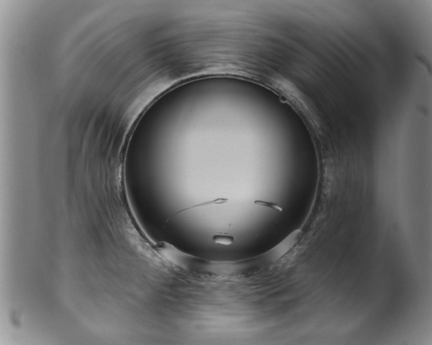 X0000100361284200806061129