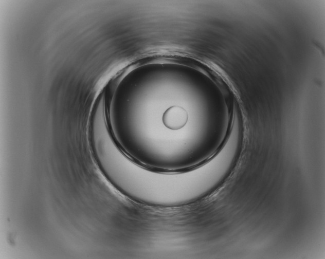 X0000100361285200806061129