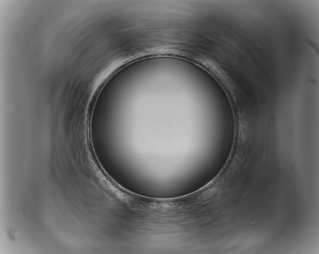 X0000100361286200806061129