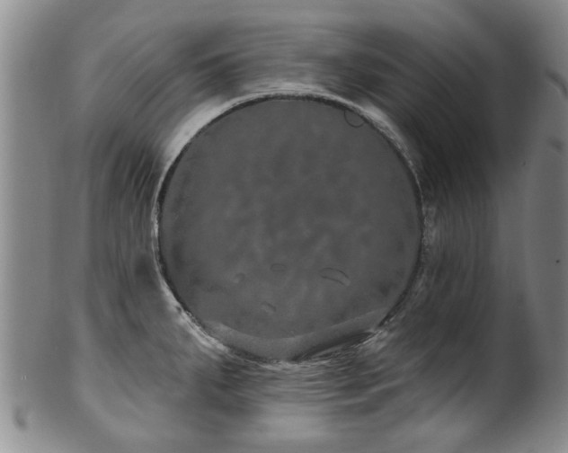 X0000100361287200806061129