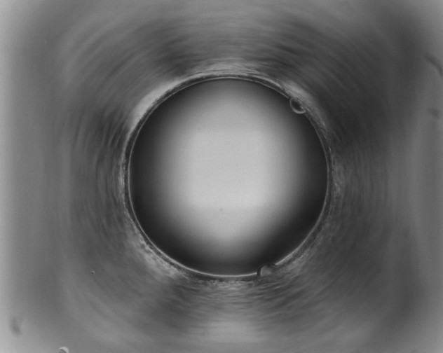X0000100361288200806061129