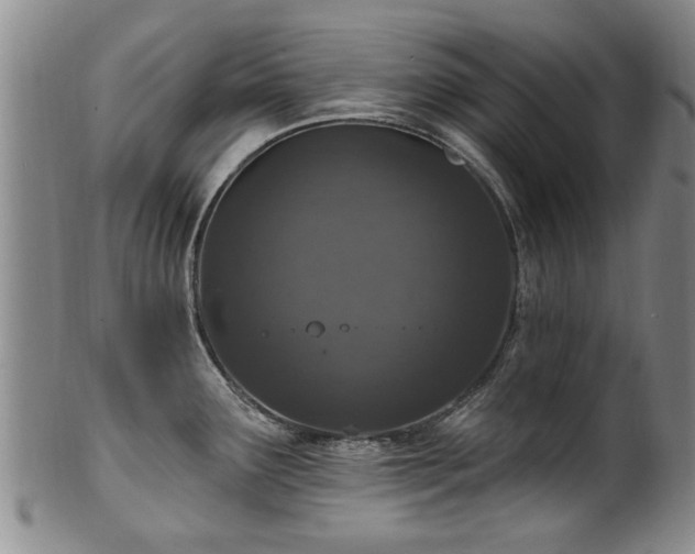 X0000100361291200806061129