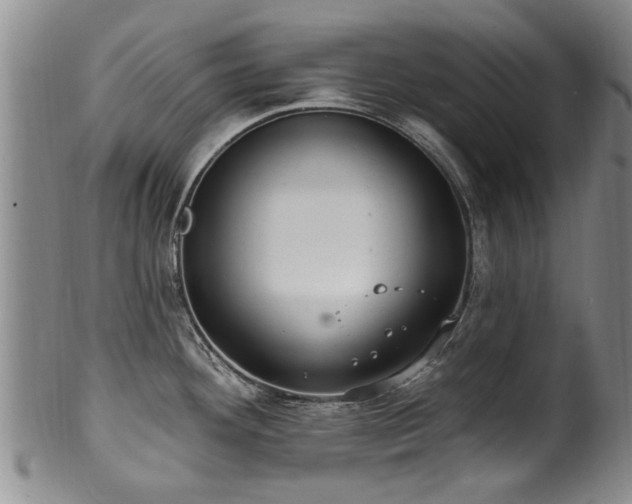 X0000100361292200806061129