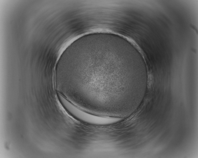 X0000100361295200806061129