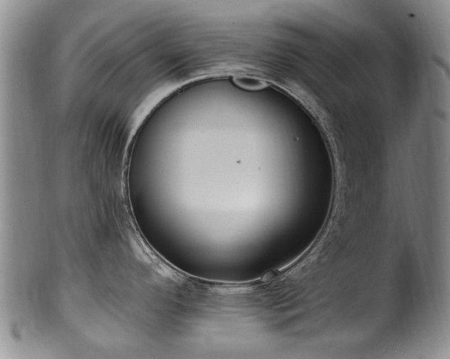 X0000100361296200806061129
