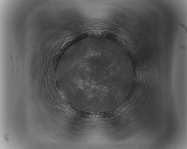 X0000100361297200806061128