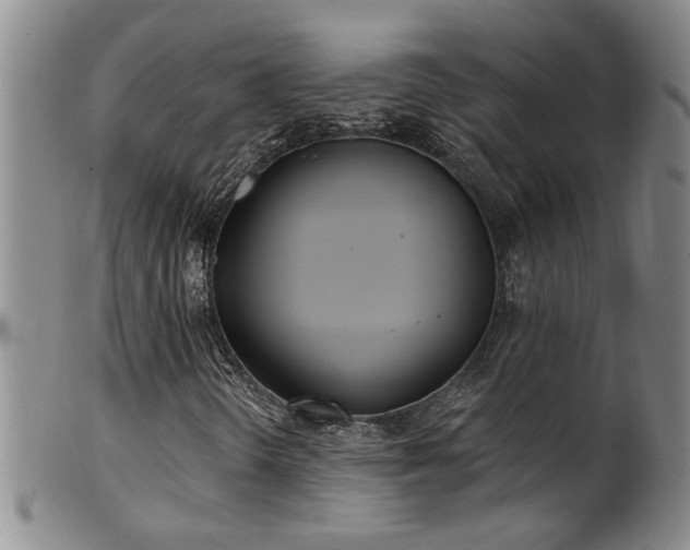 X0000100361298200806061128
