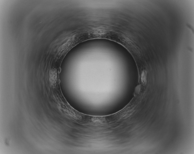 X0000100361299200806061128