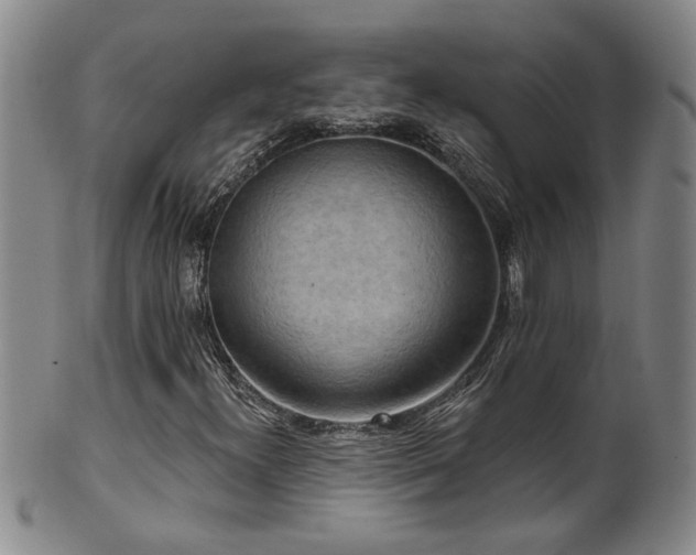 X0000100361300200806061128