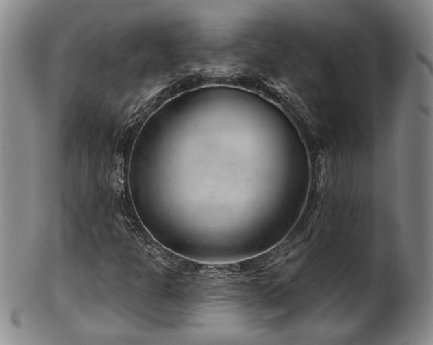 X0000100361301200806061128