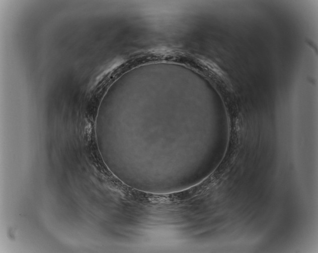 X0000100361302200806061128