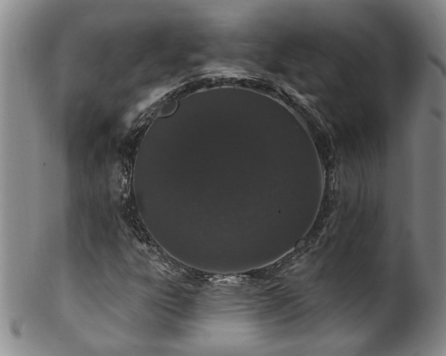 X0000100361303200806061128