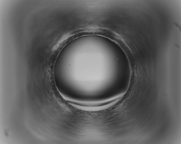 X0000100361304200806061128