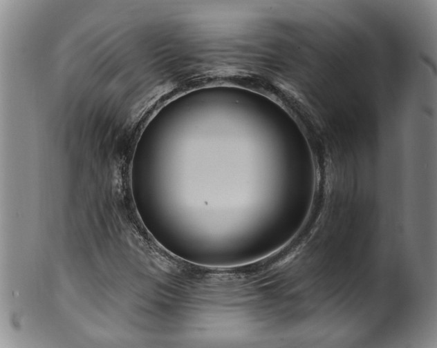 X0000100361305200806061128
