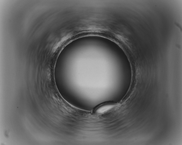 X0000100361307200806061128