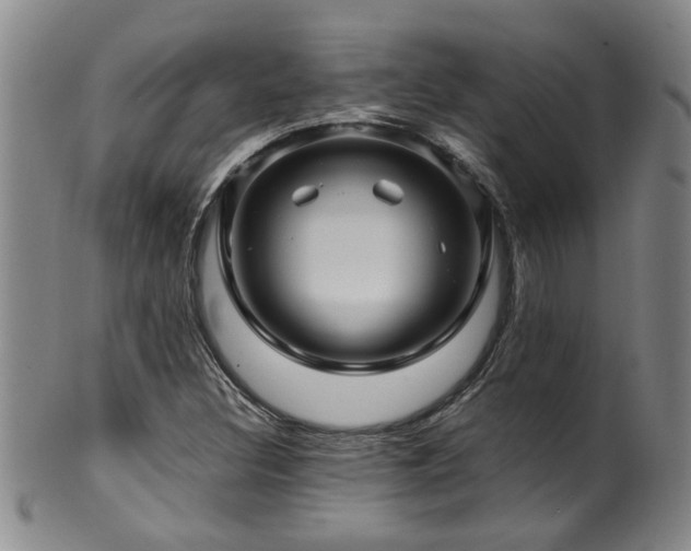 X0000100361308200806061128