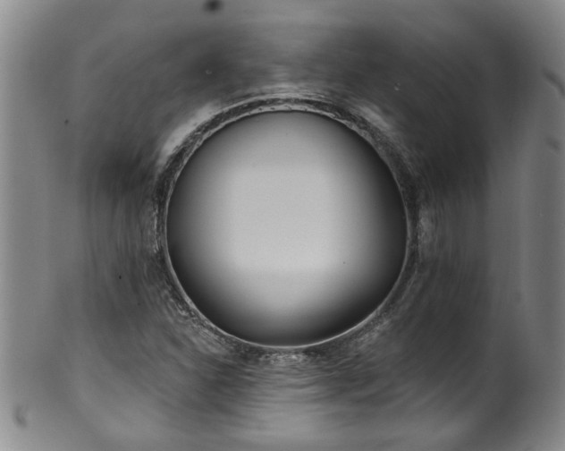 X0000100361310200806061128