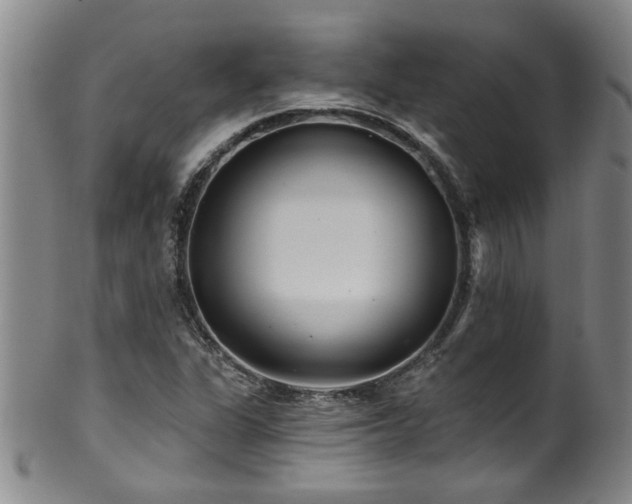 X0000100361311200806061128