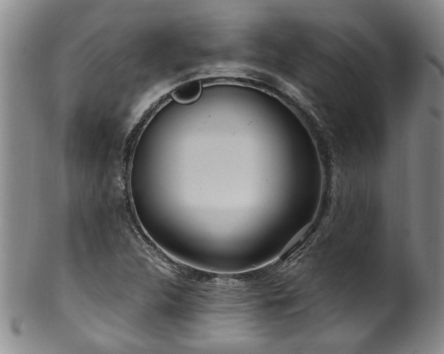 X0000100361312200806061128