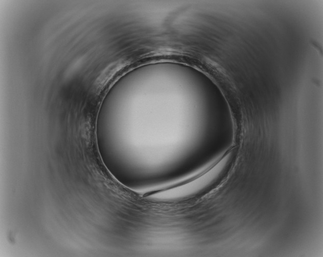 X0000100361313200806061128