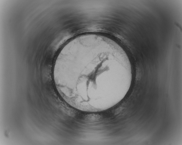 X0000100361314200806061128