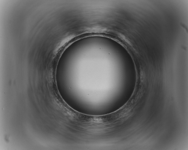 X0000100361315200806061128