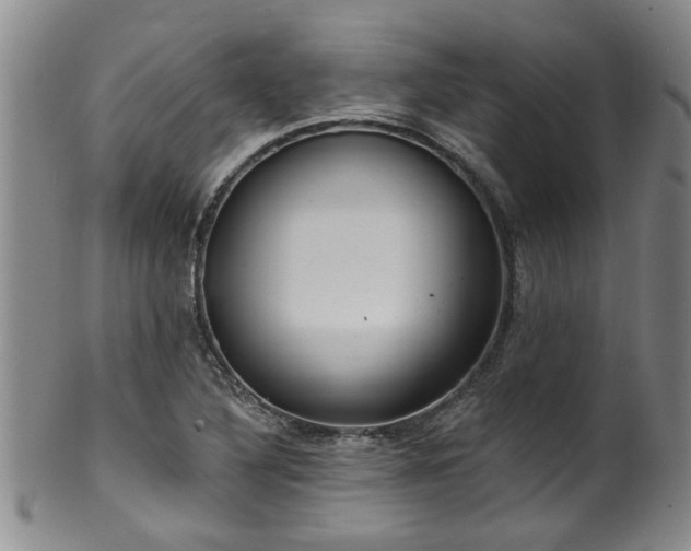 X0000100361316200806061128