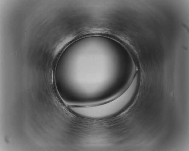 X0000100361317200806061128