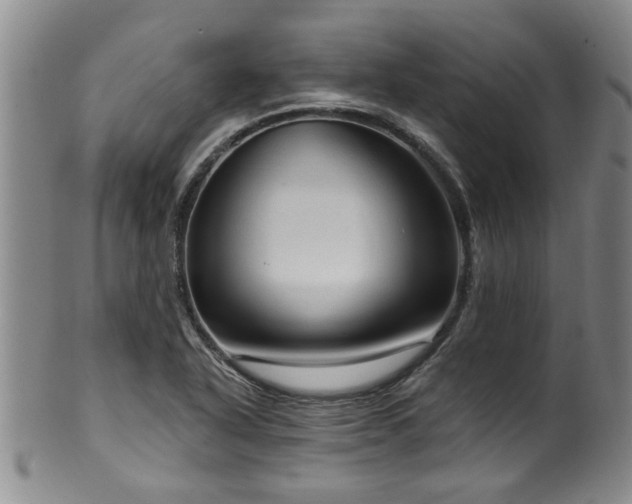 X0000100361318200806061128