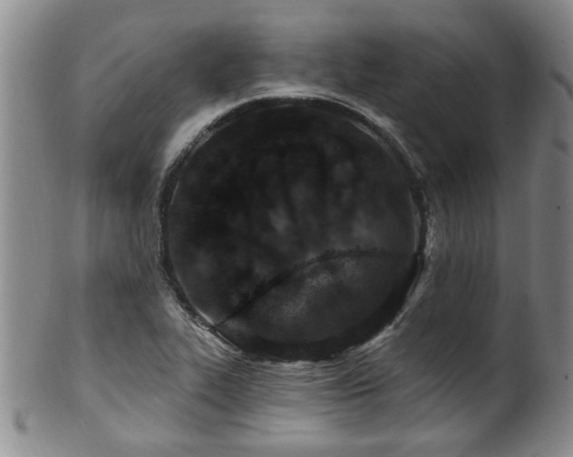 X0000100361319200806061128