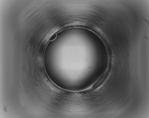 X0000100361321200806061129