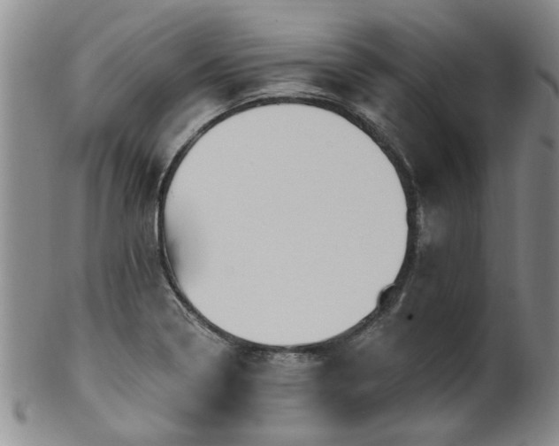 X0000100361322200806061129