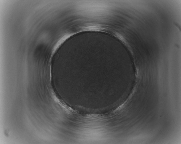 X0000100361323200806061129
