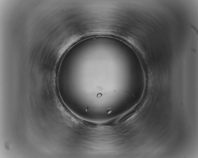 X0000100361325200806061129