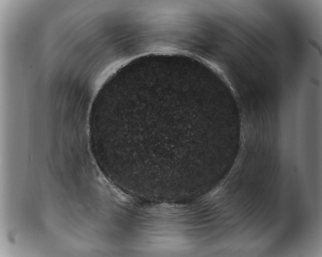 X0000100361327200806061129