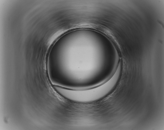 X0000100361328200806061129