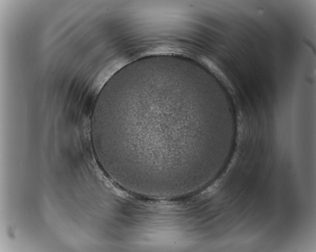 X0000100361329200806061129