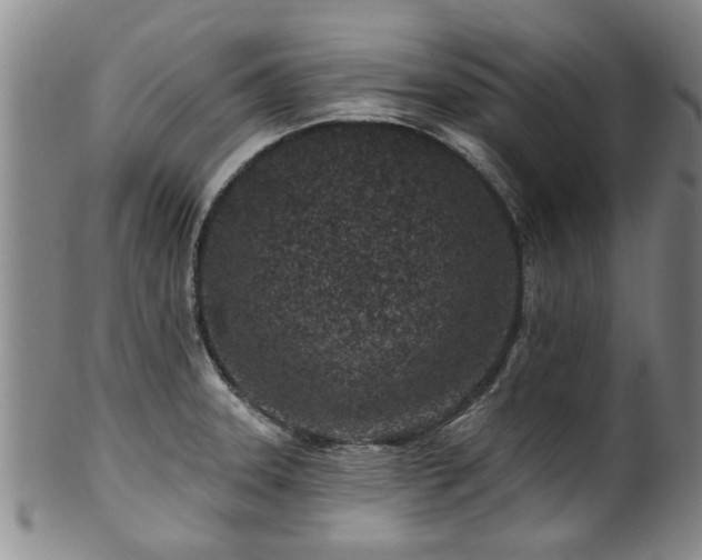X0000100361331200806061129