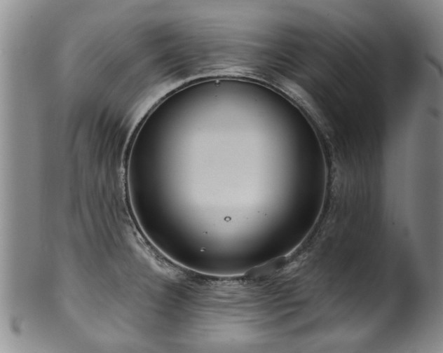 X0000100361332200806061129