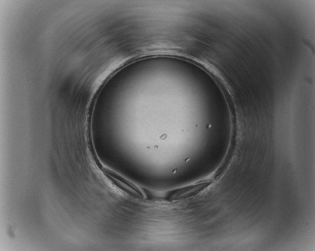 X0000100361333200806061129